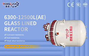 6300-12500L AE Type Glass Lined Reactor
