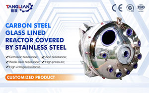 carbon steel glass lined reactor covered by stainless steel