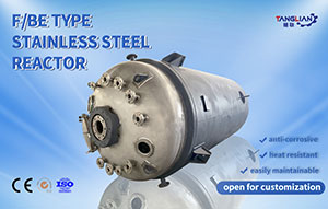 F/BE Type Stainless Steel Reactor