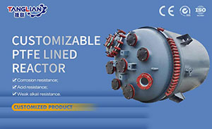 Customizable Industrial Continuous Stirred Tank PTFE Lined Reactor