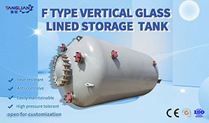 Reactor Tank/Glass Lined Storage Tank