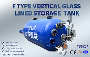 F Type Vertical Glass Lined Storage Tank