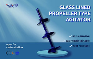 Glass lined propeller type agitator