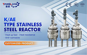 Stainless Steel Reaction Equipment 316L Stainless Steel Reactor Pressure Vessel