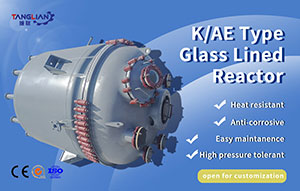 AE 50L-50000L Glass-Lined Reactor mixing tank with agitator