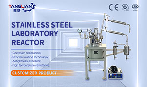 Stainless Steel Small Laboratory High Pressure Reactor with Stirring Paddle