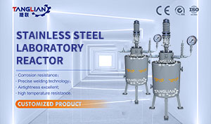 10L Laboratory Industry Equipment 304 Stainless Steel Tank Liquid Mixer Reactor