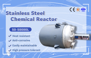 Customized Stainless Steel Fermentor / reactor for Pharmaceutical & Medical Industry