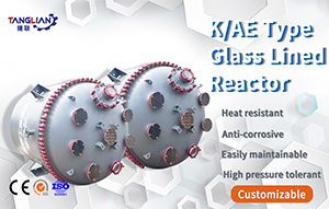Large capacity Glass-lined Coating Reaction Vessel Chemical Industry Applications