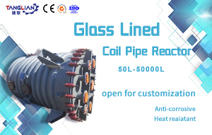 External Coil Glass Lined Reactor