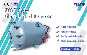 Electric heating reaction kettle/reactor