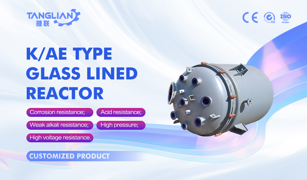 K10000L Type Glass Lined Reactor